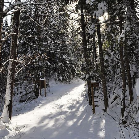 La Taniere De L'Ours Saint-Donat-de-Montcalm Exterior foto