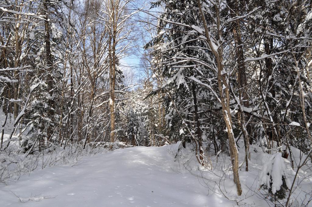 La Taniere De L'Ours Saint-Donat-de-Montcalm Exterior foto