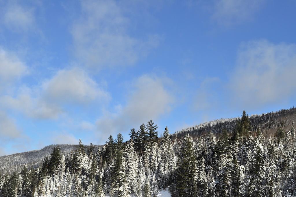 La Taniere De L'Ours Saint-Donat-de-Montcalm Exterior foto