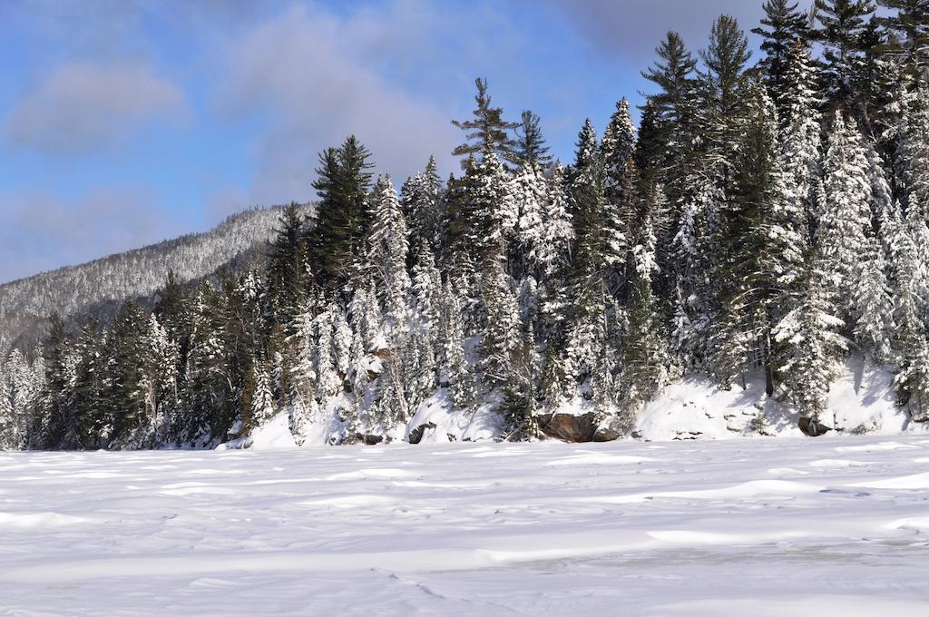 La Taniere De L'Ours Saint-Donat-de-Montcalm Exterior foto