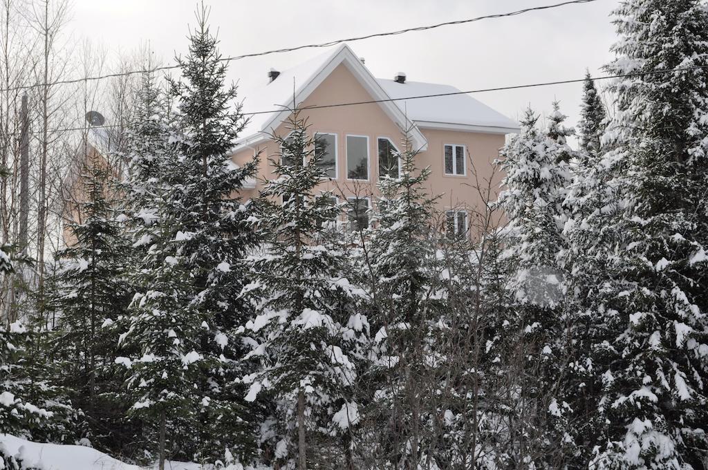 La Taniere De L'Ours Saint-Donat-de-Montcalm Exterior foto
