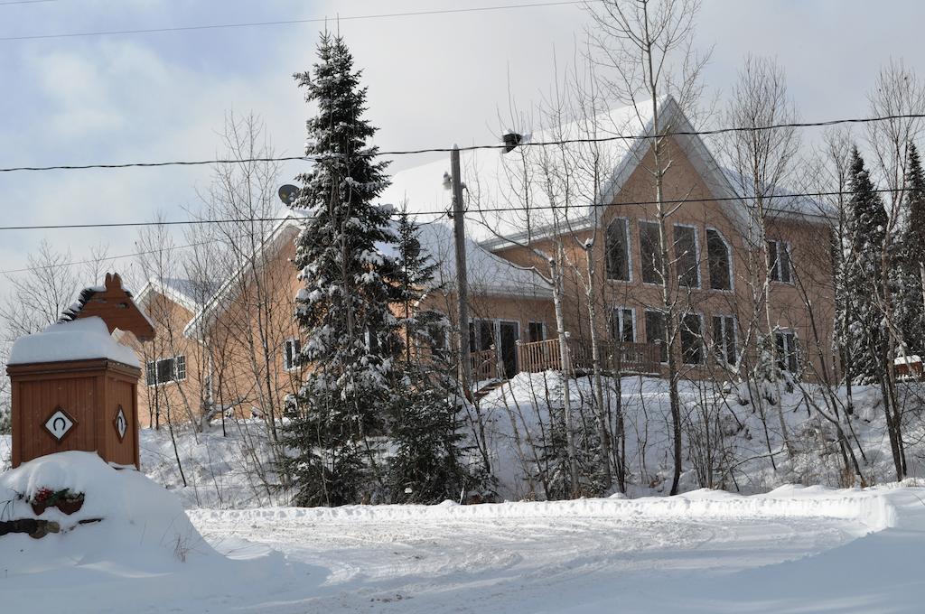 La Taniere De L'Ours Saint-Donat-de-Montcalm Exterior foto