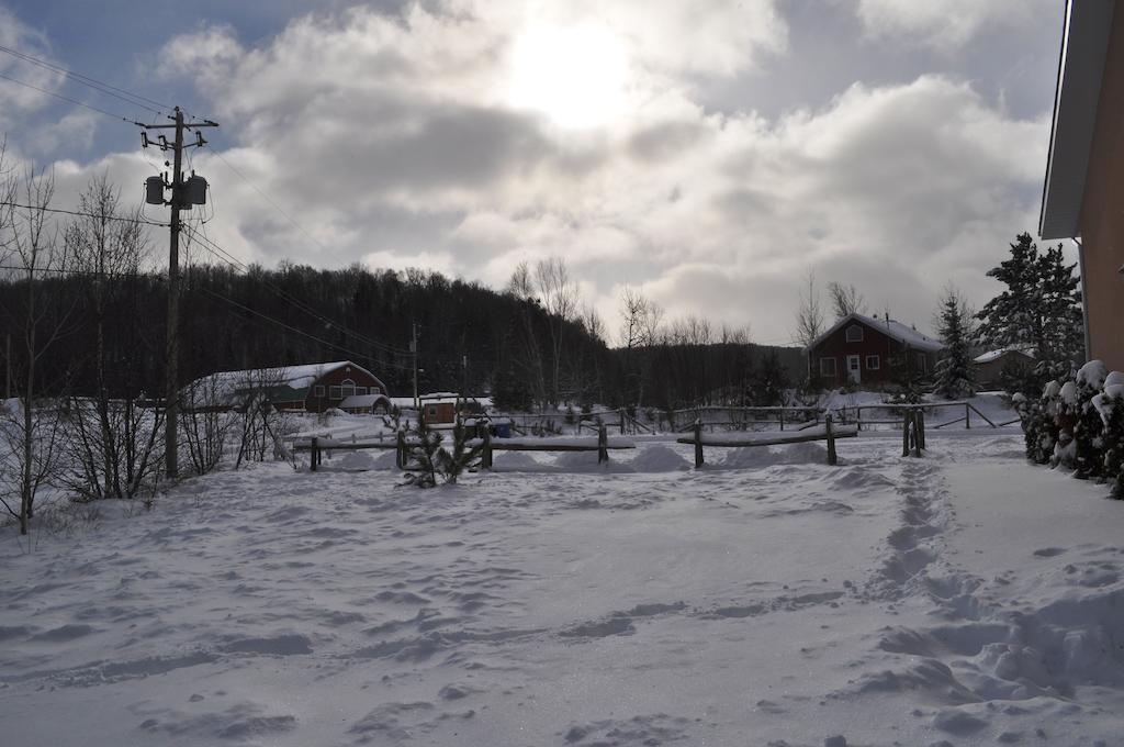 La Taniere De L'Ours Saint-Donat-de-Montcalm Exterior foto