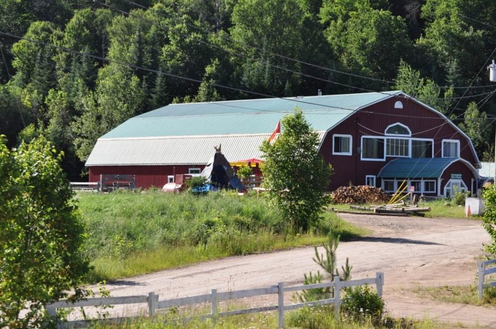 La Taniere De L'Ours Saint-Donat-de-Montcalm Exterior foto