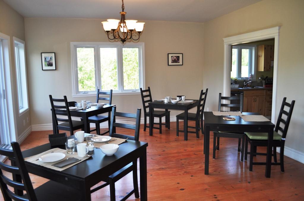 La Taniere De L'Ours Saint-Donat-de-Montcalm Exterior foto