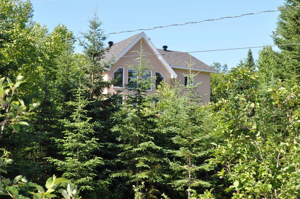 La Taniere De L'Ours Saint-Donat-de-Montcalm Exterior foto
