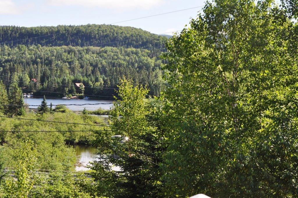 La Taniere De L'Ours Saint-Donat-de-Montcalm Exterior foto