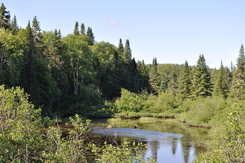 La Taniere De L'Ours Saint-Donat-de-Montcalm Exterior foto